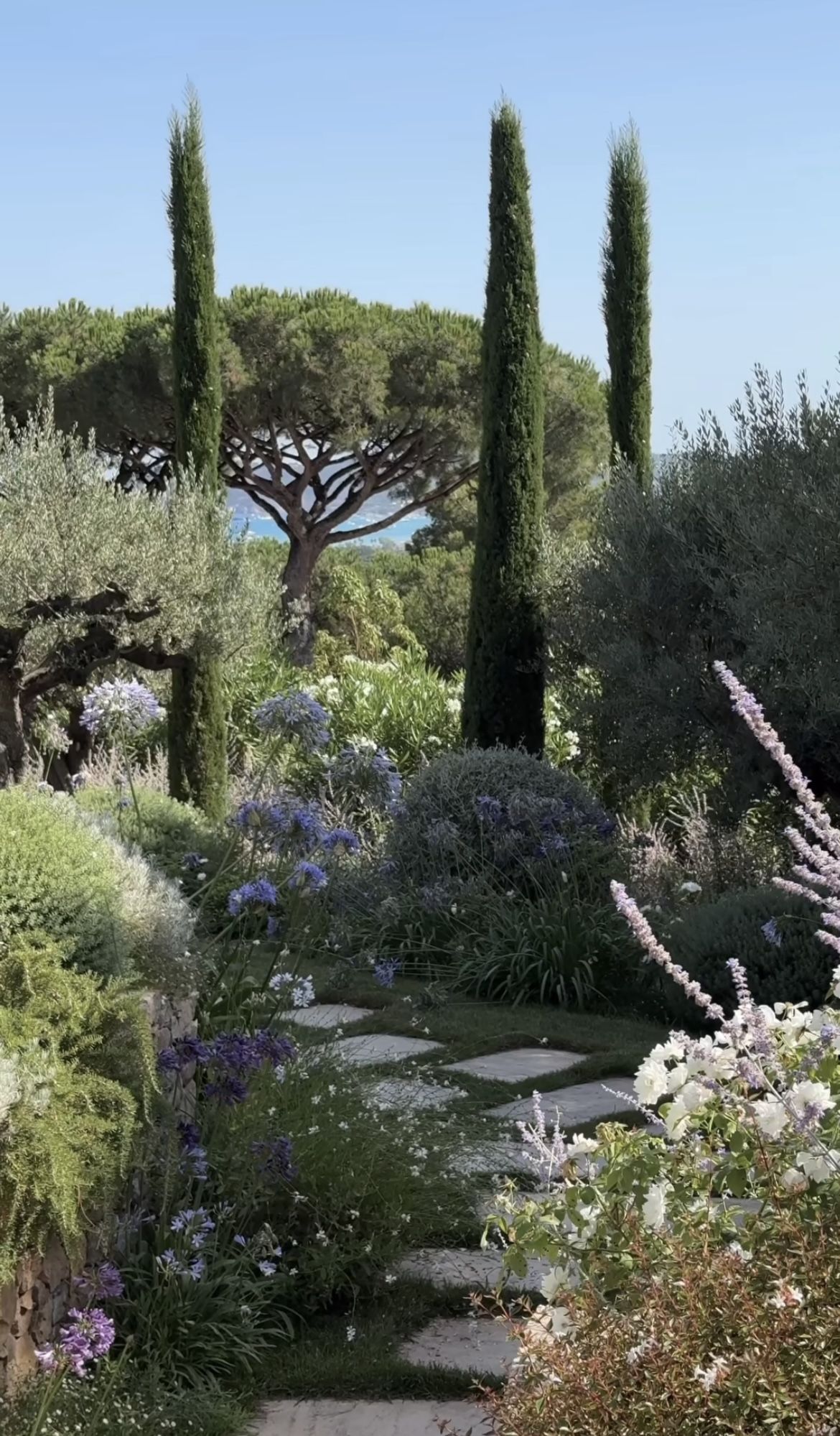 The Dyson blog: Design to Value and the Environmental Emergency